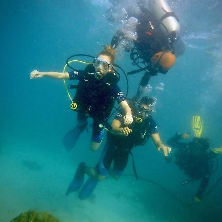 Alegria Dive Resort Exteriér fotografie