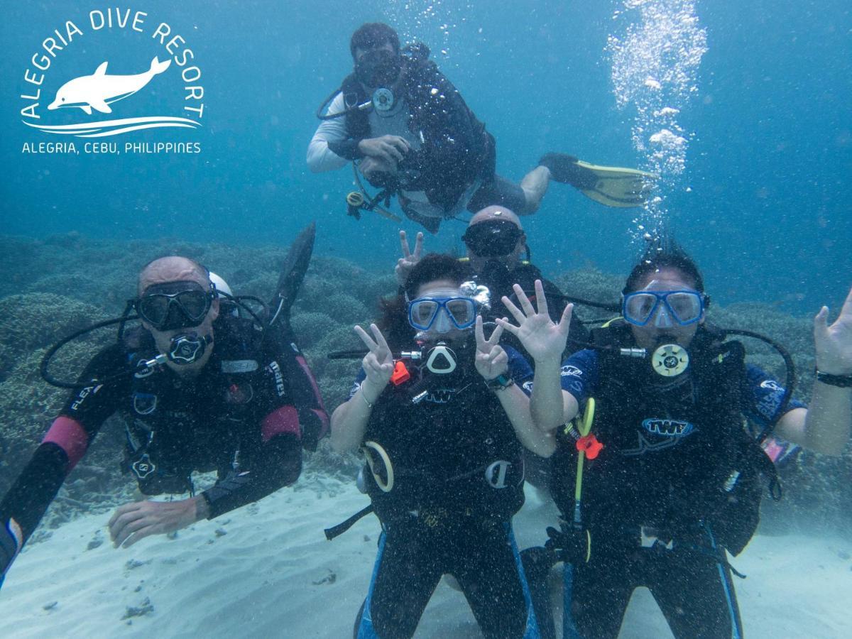 Alegria Dive Resort Exteriér fotografie