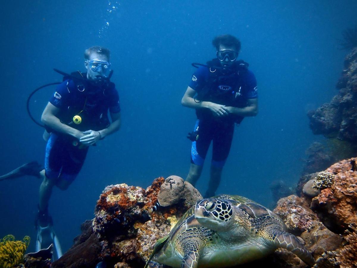 Alegria Dive Resort Exteriér fotografie