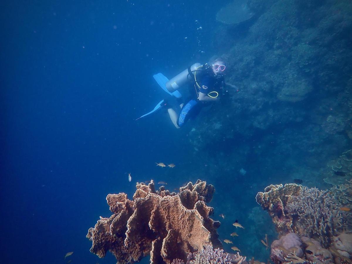 Alegria Dive Resort Exteriér fotografie